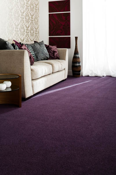 Plum purple twist-pile carpet in a living room with a cream two-seater sofa.